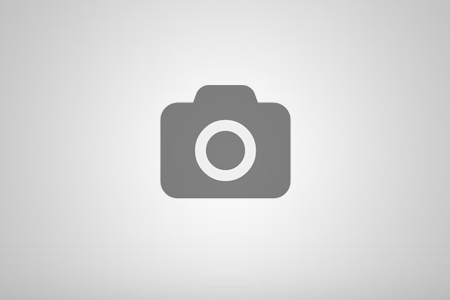 Sandhill Cranes, New Mexico Dec, 2024