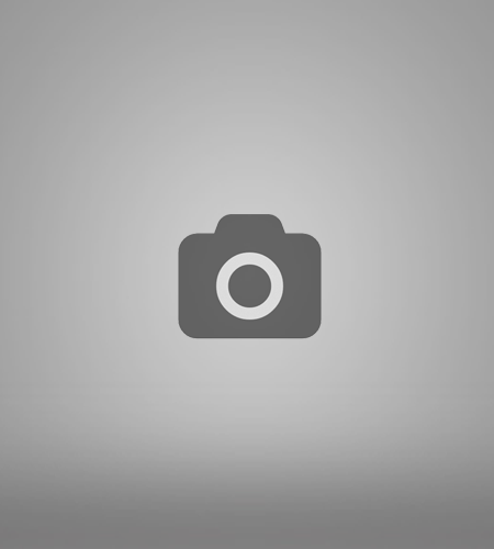 Birds in Flight, 2025